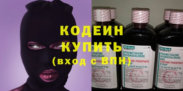 хмурый Алексин