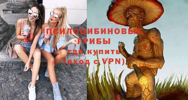 твердый Алексеевка
