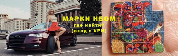 хмурый Алексин
